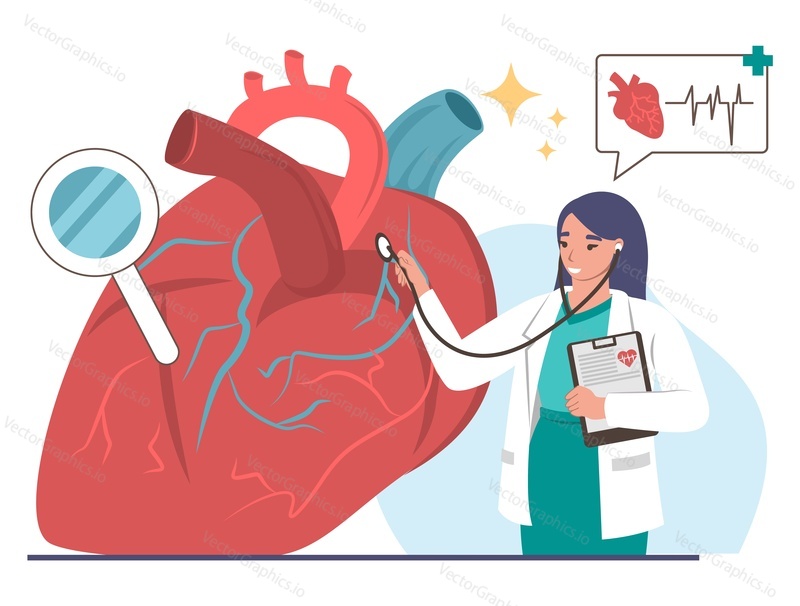 Ženský lékař kardiolog vyšetřující lidské srdce stetoskopem, ploché vektorové ilustrace. Kardiologie, srdeční choroby, medicína a zdravotní péče.
