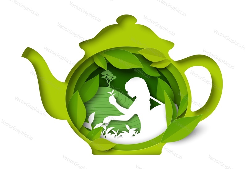 Vektor tea pot ikona s Žena silueta sklizeň bylin, shromažďování zelené listy rostlin na plantáži. Reklamní logo, abstraktní label design izolovaných na bílém pozadí