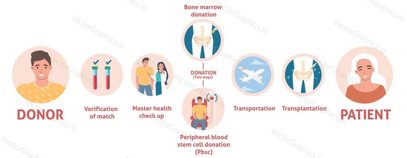 Dárcovství a transplantace kostní dřeně. Krevní kmenové buňky darovat po ověření s indikátorem zdraví pacienta. Lékařský plakát infographic