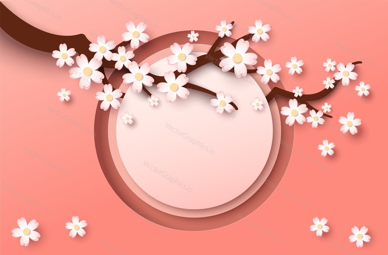 Papír řez sakura větev stromu s kvetoucí květiny, třešňový květ a kruh rám, vektorové ilustrace. Jarní pozadí, květinový banner, plakát, šablona letáku s kopírovacím prostorem.