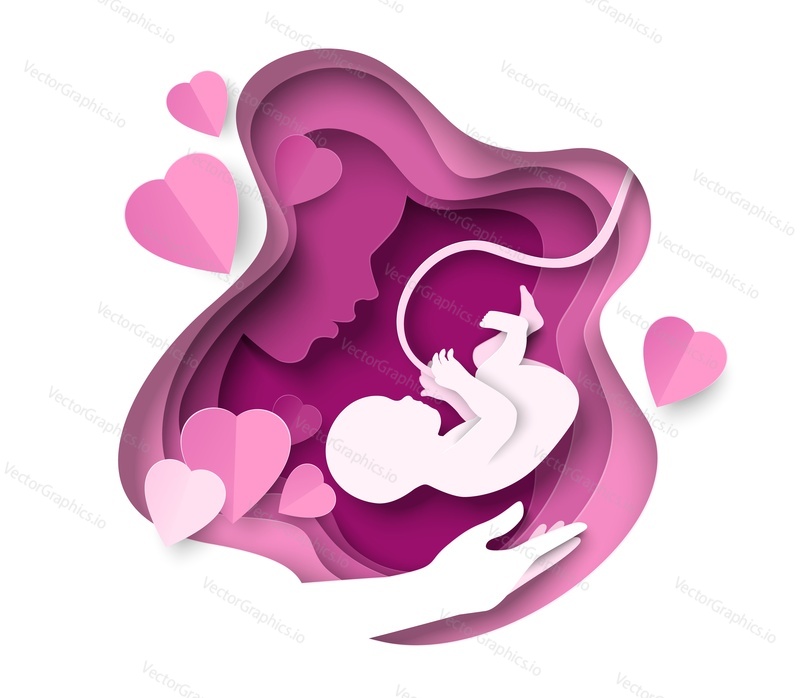 Female head and baby fetus paper cut 3d vector