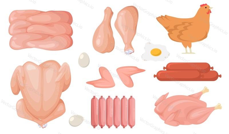 Kreslený kuřecí čerstvé syrové maso vektorové sady. Rozmanitost tepelně neupravených drůbežích biopotravin pro grilování ilustrace. Celá slepice, filet, křídla, klobásy, vejce, palička izolovaných na bílém pozadí