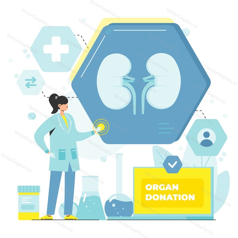 Dárcovství orgánů, léčba a chirurgie vektorový plakát. Žena lékař připravuje zdravé ledviny k transplantaci ilustrace. Koncepce zdravotní péče