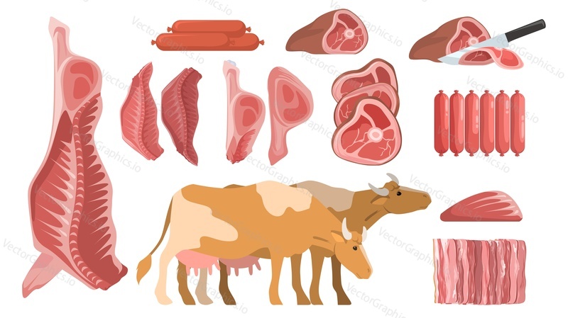 Cartoon čerstvé syrové hovězí maso vektorové sady. Rozmanitost nevařených kravských biopotravin pro grilování ilustrace. Celé a kusy, steak a filé, žebra a klobásy izolovaných na bílém pozadí