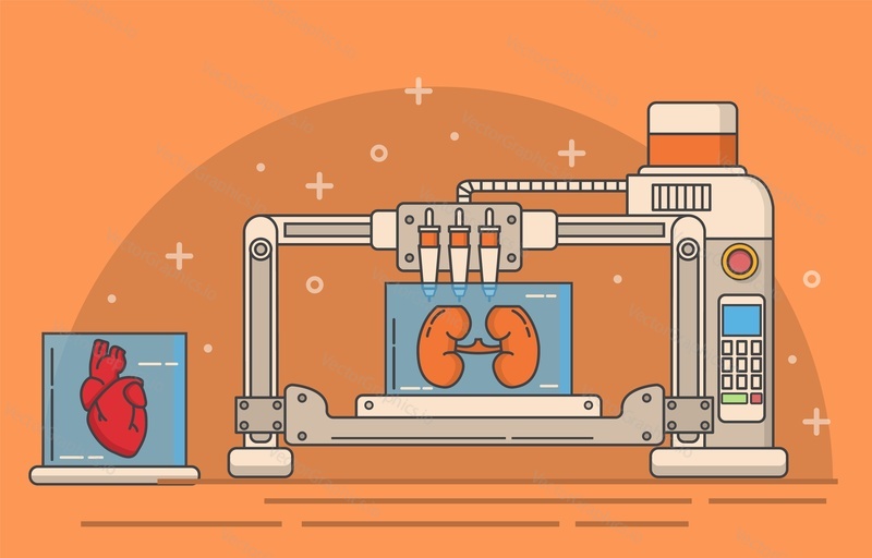 Lékařská 3D tiskárna vector. Srdce a ledviny vnitřní lidské tělo varhany tisk ilustrace. Medicína, inženýrství a modelování