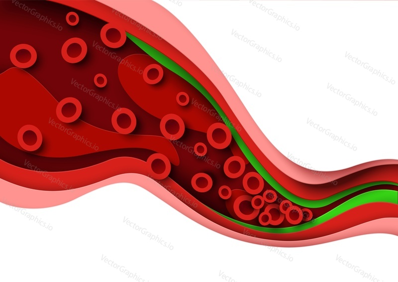 Cholesterol blood artery vessel. Arteriosclerosis cardiovascular disease vector. Vein 3d anatomy with fat plaque and clot illustration isolated on white background. Paper cut craft style