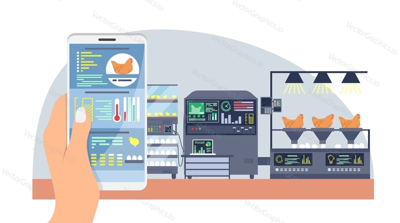 Drůbež inteligentní farma vektor. Automatizovaný zemědělský systém při práci ilustrace. Plochá lidská ruka držící smartphone v ruce pro analýzu dat a krmení kuřete. Automatizační a implementační technologie
