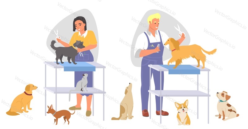 Grooming Pet mistr pečující psi stříhání kožešiny s nůžkami vektorové ilustrace scéna set. Profesionální salonní služba pro domácí zvířata