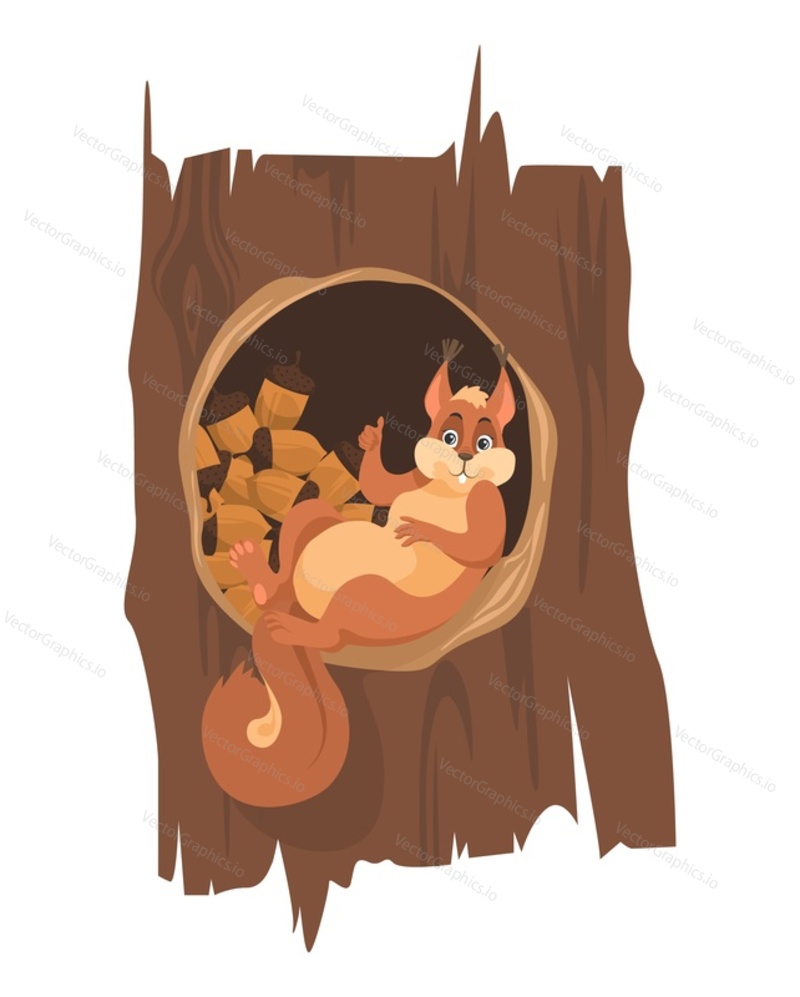 Cute squirrel with nut harvest in tree hollow flat cartoon vector. Funny forest rodent gesturing ok sign satisfied with good crop illustration isolated on white background