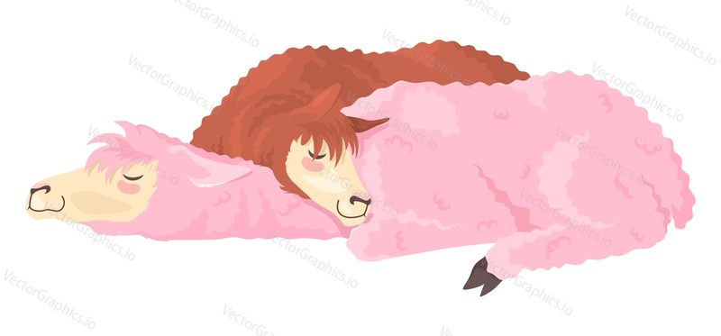 Cute two llamas alpacas sleeping flat vector icon. Funny Mexican fluffy farm animals napping together illustration isolated on white background