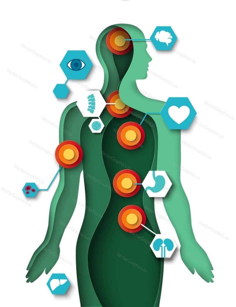 Human organ problems vector icon. Person silhouette in paper cut style. Anatomy and placement of internals. Medicine, healthcare and treatment concept