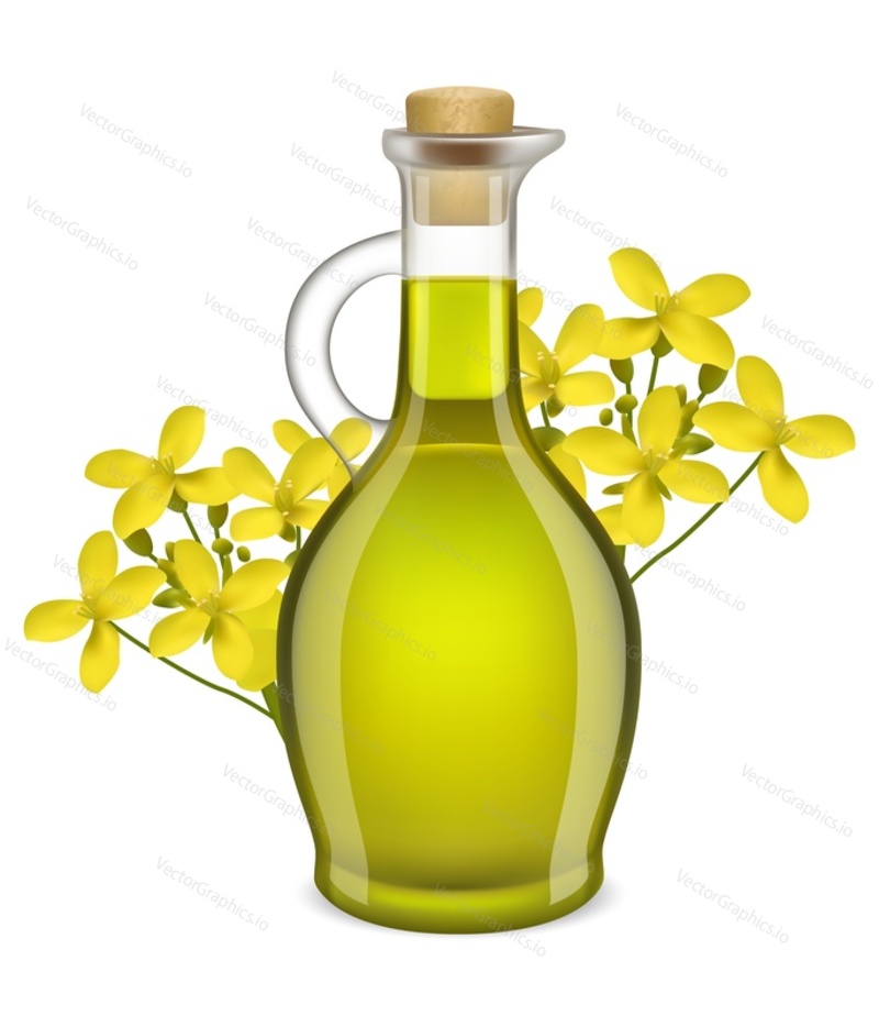 Olive oil glass jug with tree blossoms decoration vector illustration. Natural organic product for cooking advertisement design element