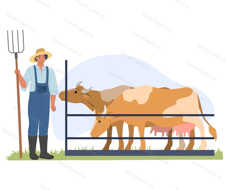 Man farmer taking care of cow at stall vector illustration. Male farm worker standing with pitchfork at livestock isolated on white background. Agriculture and village farmland concept