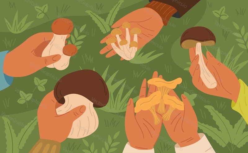 Picking mushroom cartoon background. Human hand holding edible fungus top view over green forest grass vector illustration
