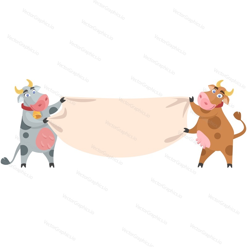 Two cartoon milk cow vector. Farm animals character holding empty blank advertisement banner or poster placard isolated on white background