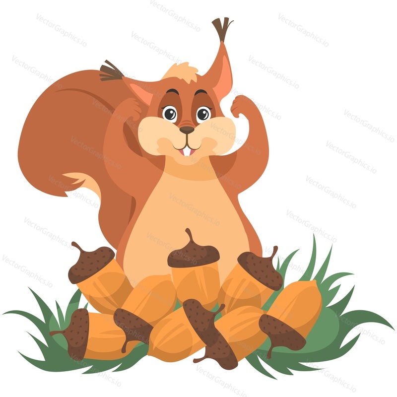 Small strong squirrel and acorn heap vector. Fur rodent showing power muscle gesture sitting near organic ripe oak seeds pile isolated on white background
