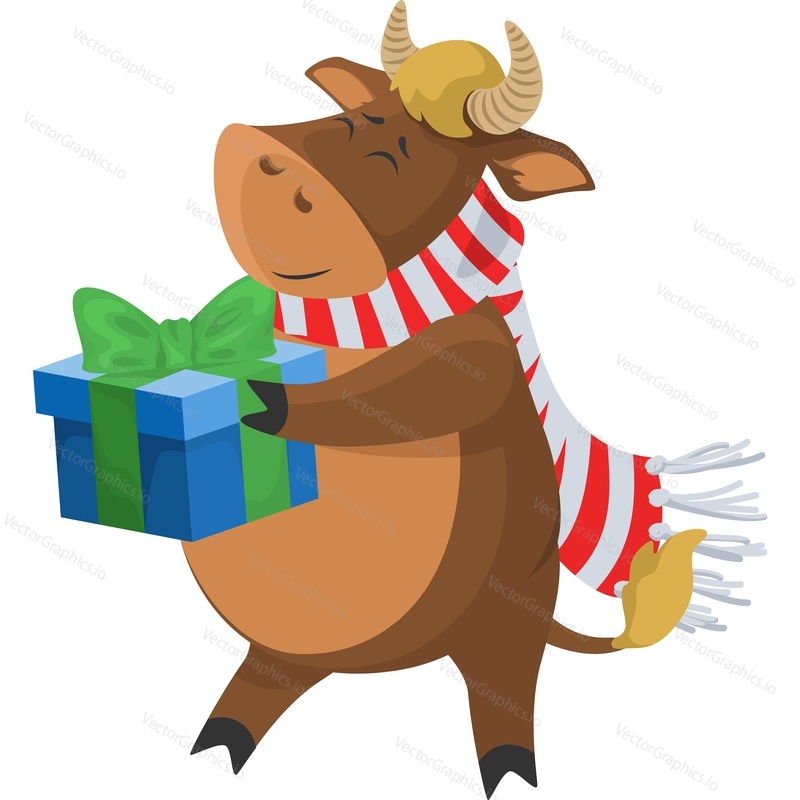Christmas cow character wearing warm scarf holding gift box vector icon isolated on white background.
