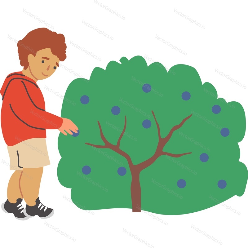 Malý chlapec dítě vybírání fuits z Zahradní bush vektorové ikony izolovaných na bílém pozadí.