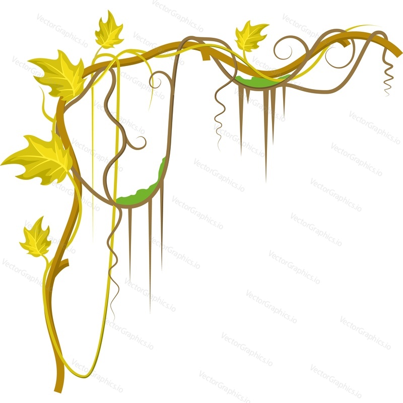 Tropical rainforest vegetation tree twig vector icon isolated on white background.