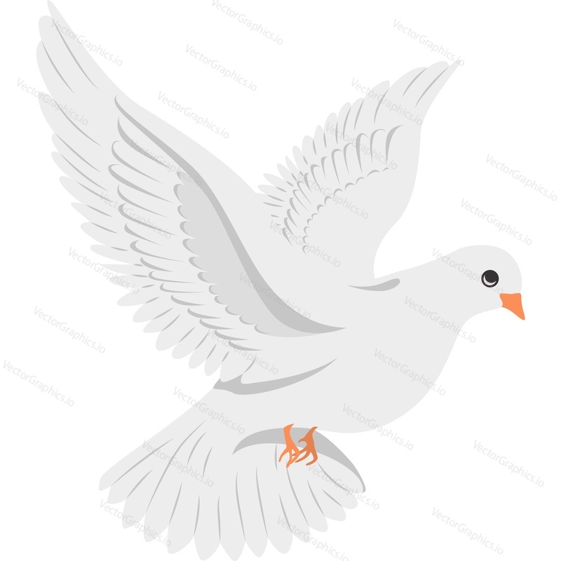 Dove bird vector icon isolated on white background
