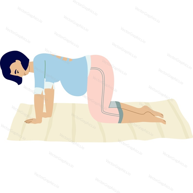 Pregnant woman standing in cat-cow pose vector icon isolated on white background child birth position concept.