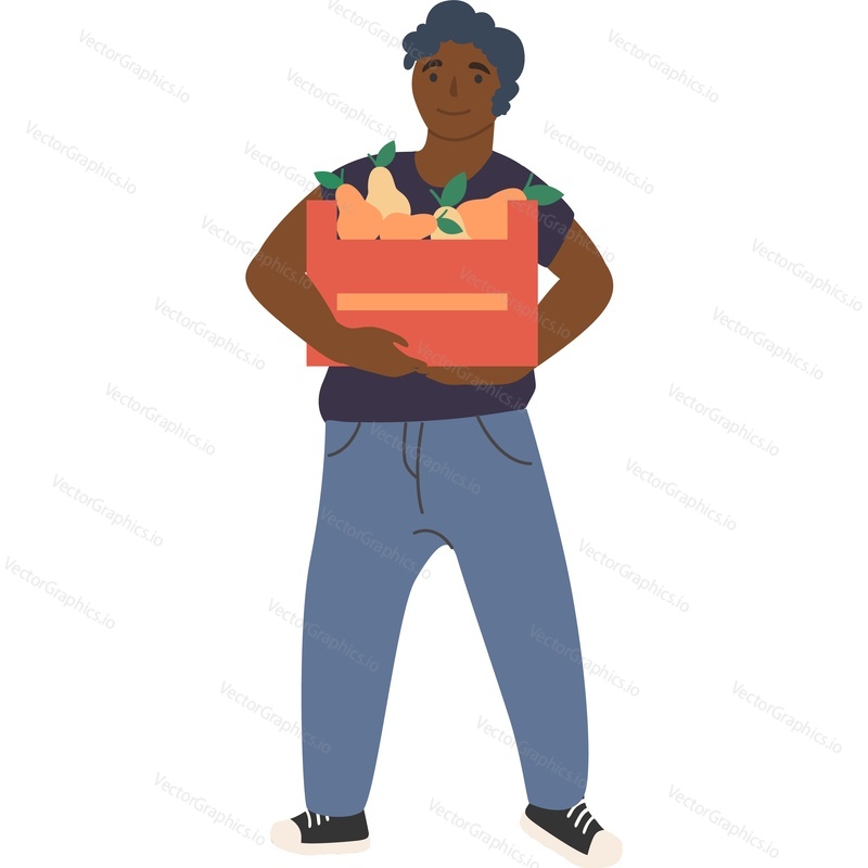 Happy man gardener carrying crate with ripe pear fruit vector icon isolated on white background.