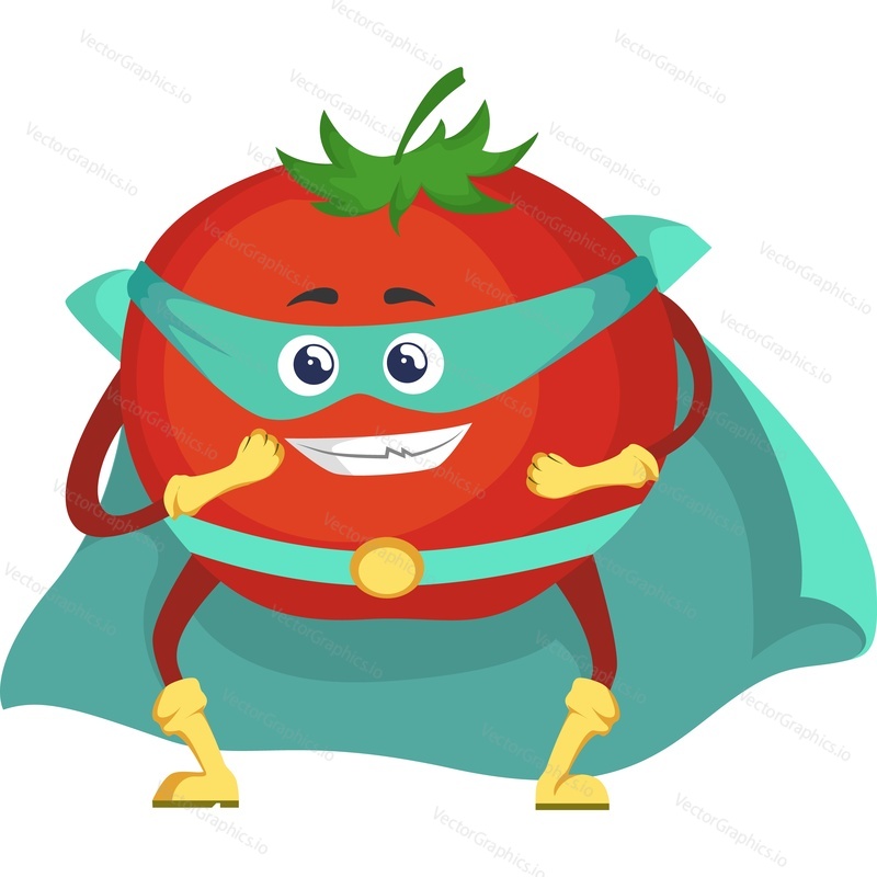 Tomato superhrdina znak vektorové ikony izolovaných na bílém pozadí.