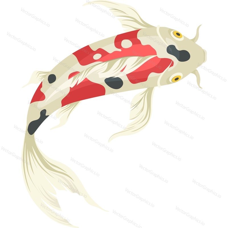 spotted koi fish vector icon isolated on white background.