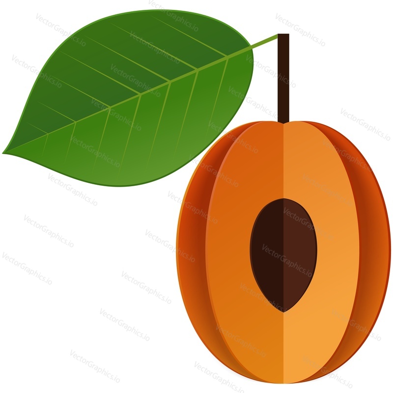 Apricot fruit vector illustration. Ripe nectarine flat icon. Sweet organic food slice with seed and green leaf isolated on white background