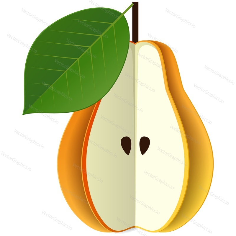 Pear half fruit vector. Food illustration icon. Ripe sweet organic vitamin nutrition isolated on white background