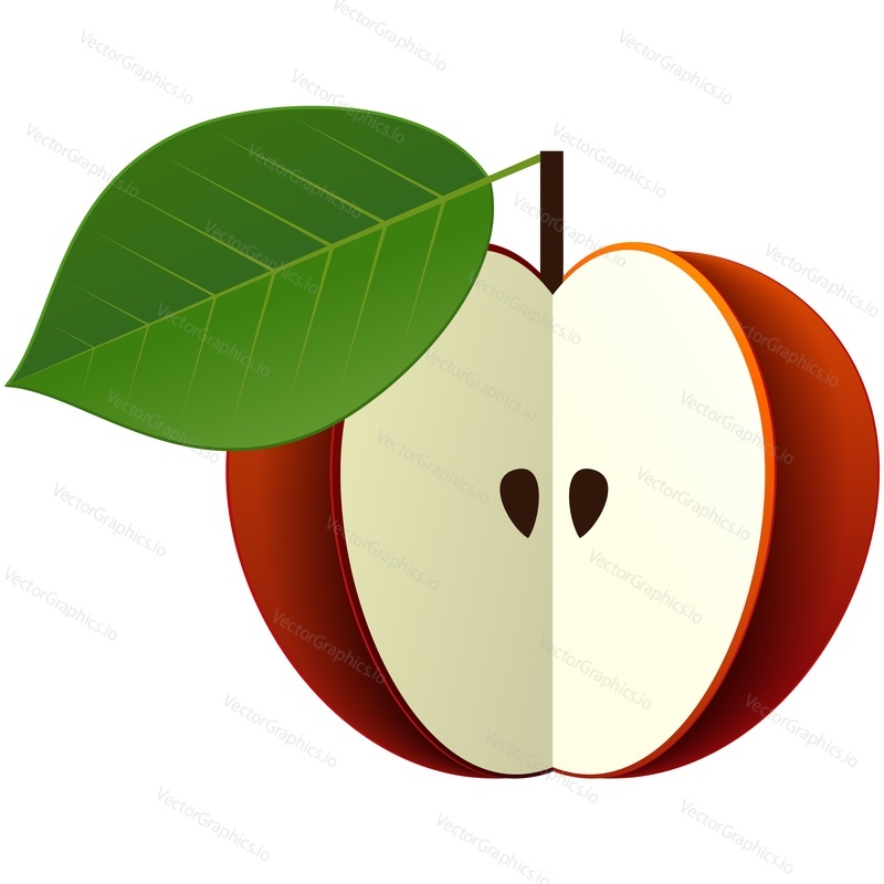 Apple half red fruit with seeds vector. Food illustration icon. Ripe sweet organic vitamin nutrition isolated on white background