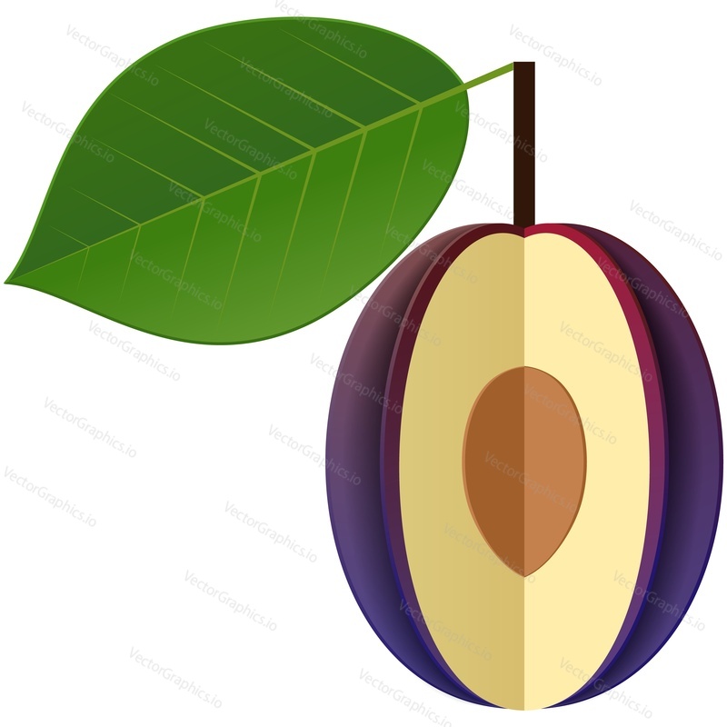 Plum fruit vector illustration. Ripe prune flat icon. Sweet organic slice with seed and green leaf isolated on white background