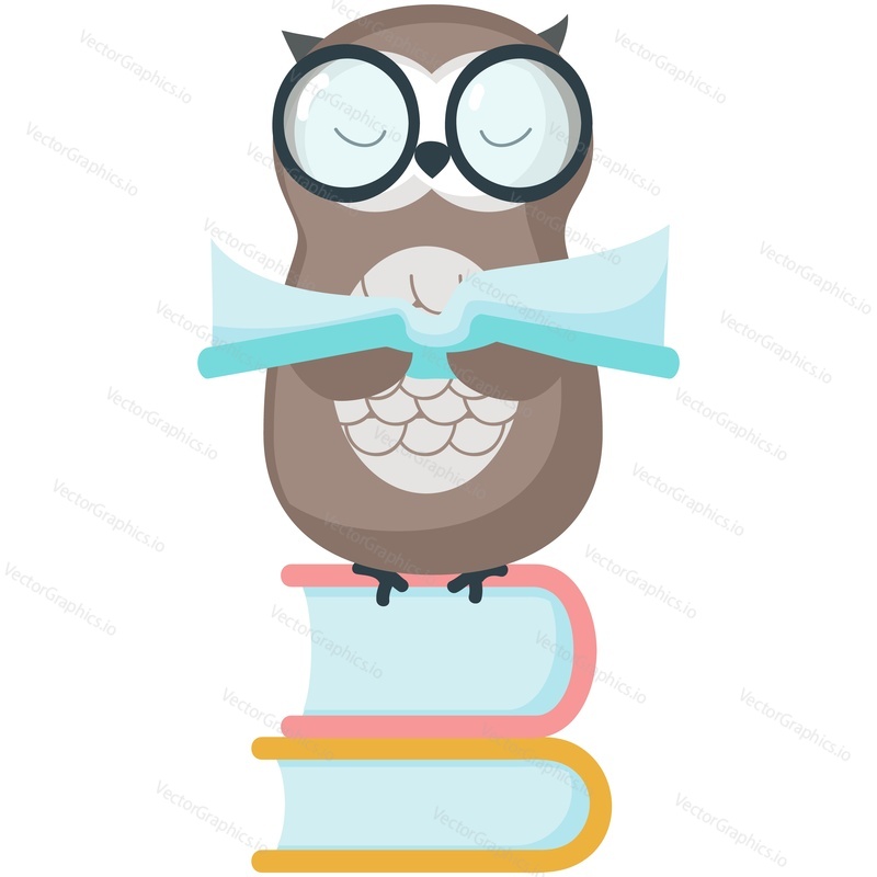 Owl wise vector. Cute bird teacher with school book icon. Smart character in glasses sitting on stack of textbook illustration isolated on white background