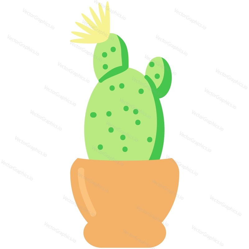 Cactus flower vector illustration. Cartoon plant. Cacti pot in icon. Succulent with thorn and blooming bud in flowerpot isolated on white background