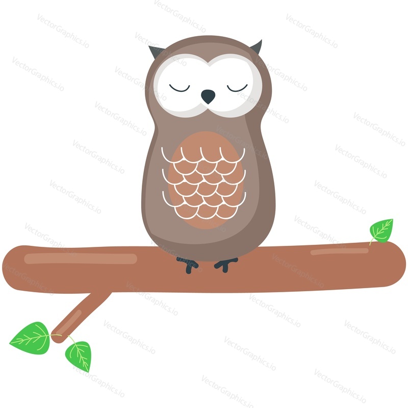Owl sleep vector. Cartoon cute night bird icon illustration. Sleepy animal on tree branch. Funny character sleeping isolated on white background