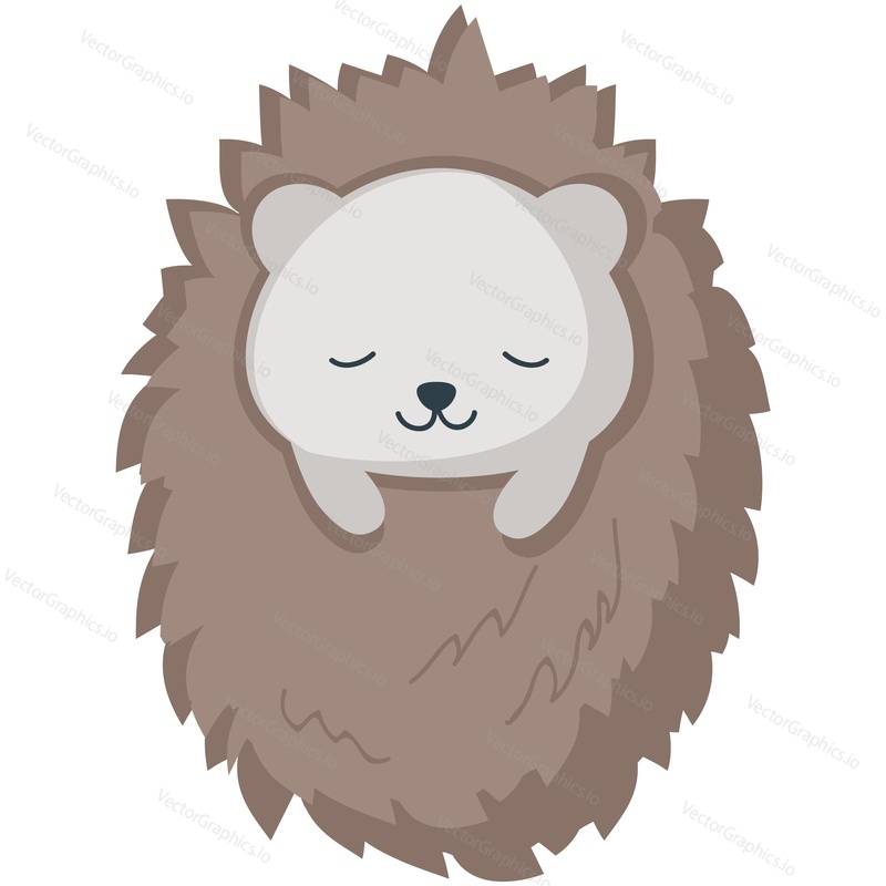 Hedgehog vector. Cartoon animal sleep icon. Cute forest character illustration. Sleepy prickly creature isolated on white background