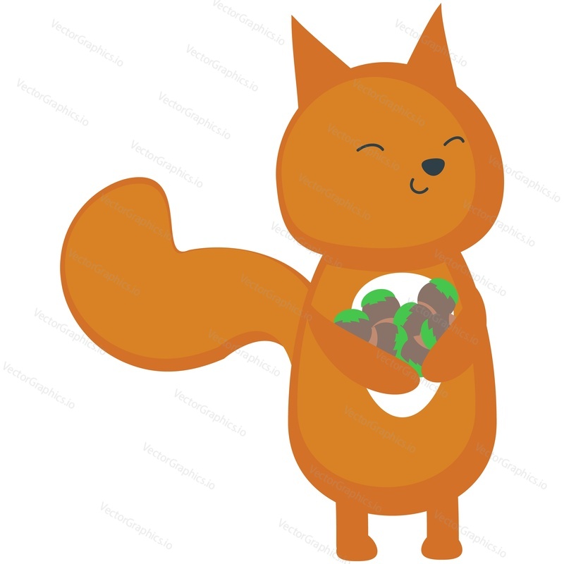 Squirrel vector. Cute forest animal cartoon character illustration. Chipmunk with autumn nuts harvest icon isolated on white background