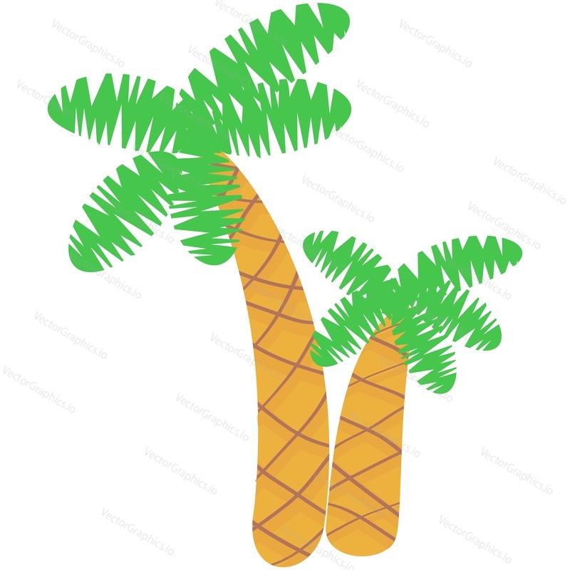 Vector palm coconut tree cartoon icon illustration. Two tropical jungle garden or forest coco plant isolated on white background