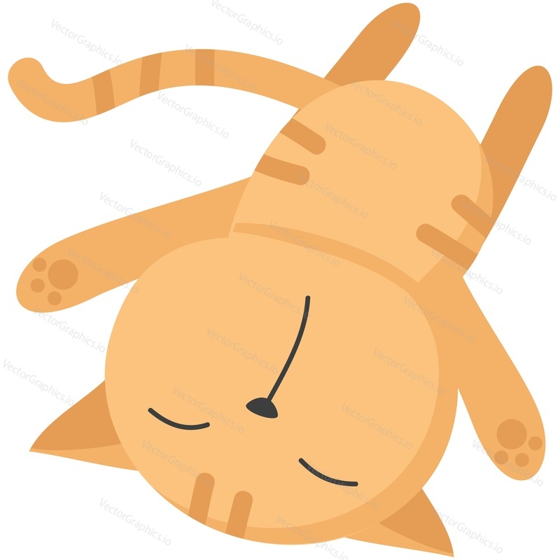 Kitten vector illustration. Cartoon cute cat sleep. Character animal having sweet dream icon. Sleepy pussycat. Tired funny napping pet isolated on white background