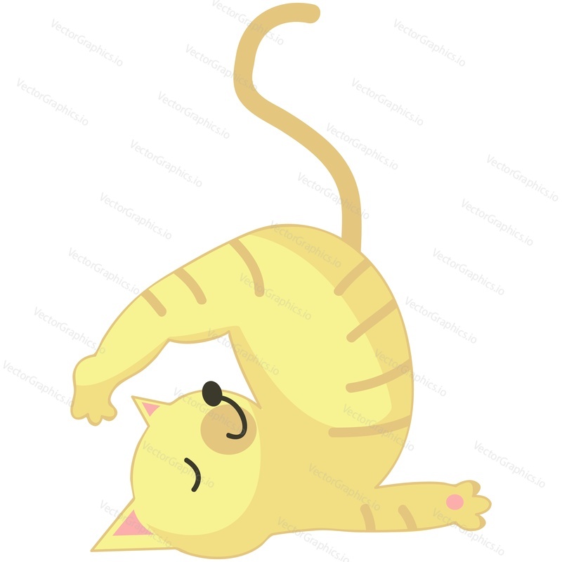 Yoga cat vector. Cute domestic animal cartoon character stretching back in sarvangasana pose isolated on white background