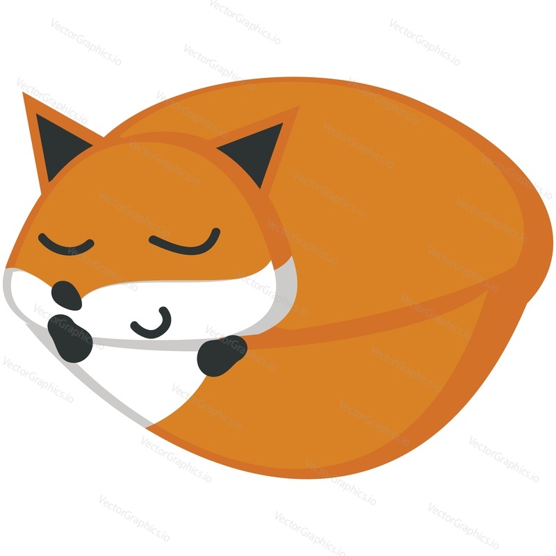 Funny fox vector. Cute forest animal rest cartoon icon. Comic woodland character with red tail curled up sleeping isolated on white background